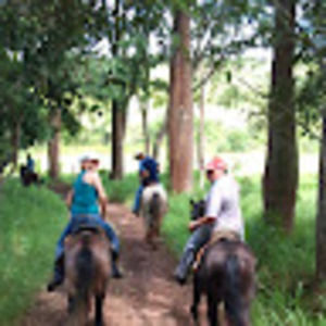 Meet your Posher, Francisco sávio